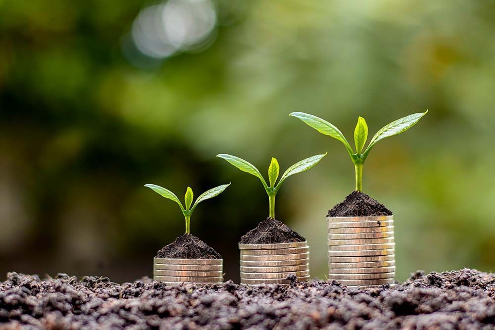 Agricultural Economics