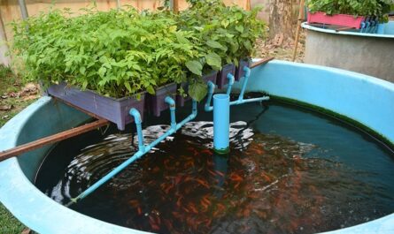 Aquaponics