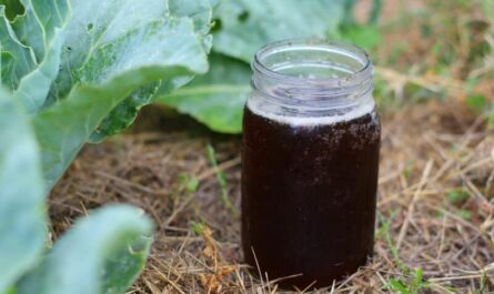 Compost Tea