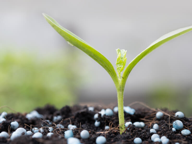 Controlled-Release Fertilizer