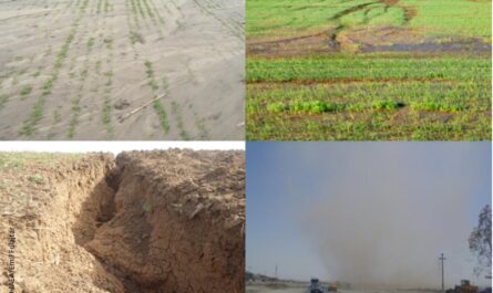 Soil Erosion Assessment