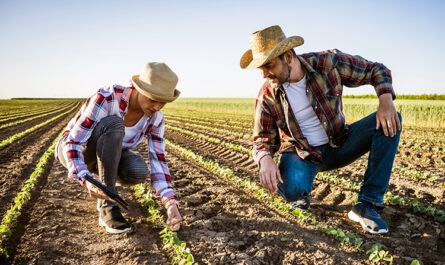 Farmer