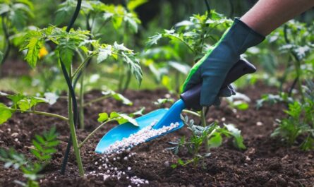 Fertilizer Types
