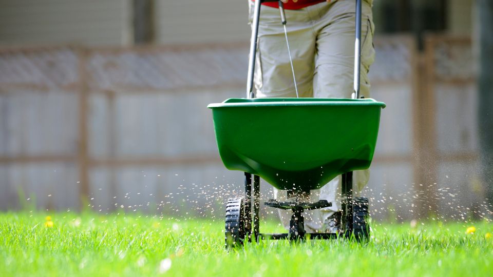 Fertilizer