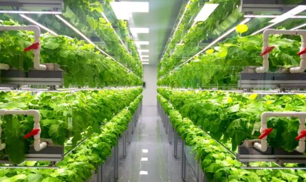 Greenhouse Farming