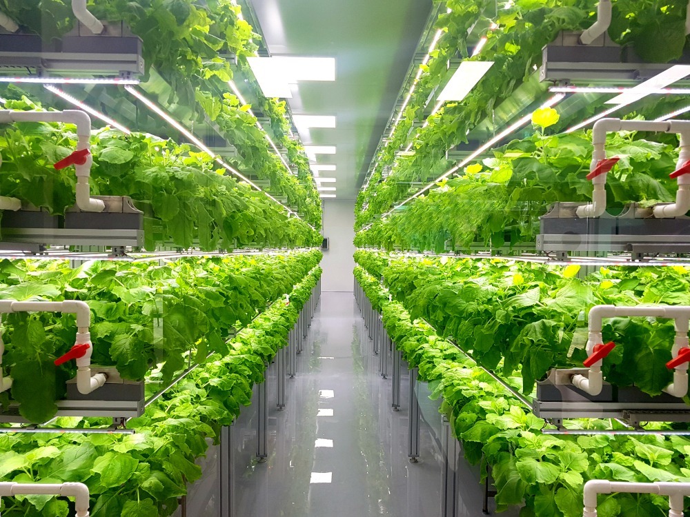 Greenhouse Farming