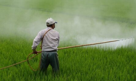 Herbicide