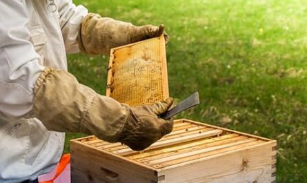 Hive Tool