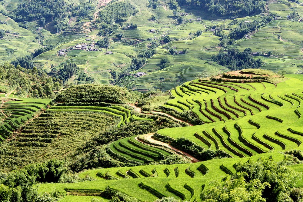 Land Reform