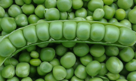 Legumes