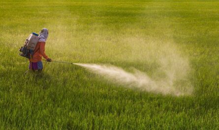 Pesticide