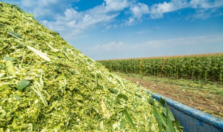 Silage Production