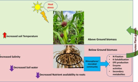 Soil Alkalinity