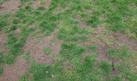 Soil Compaction