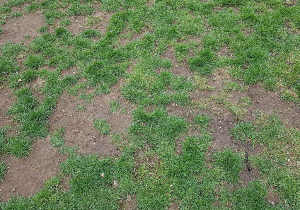 Soil Compaction