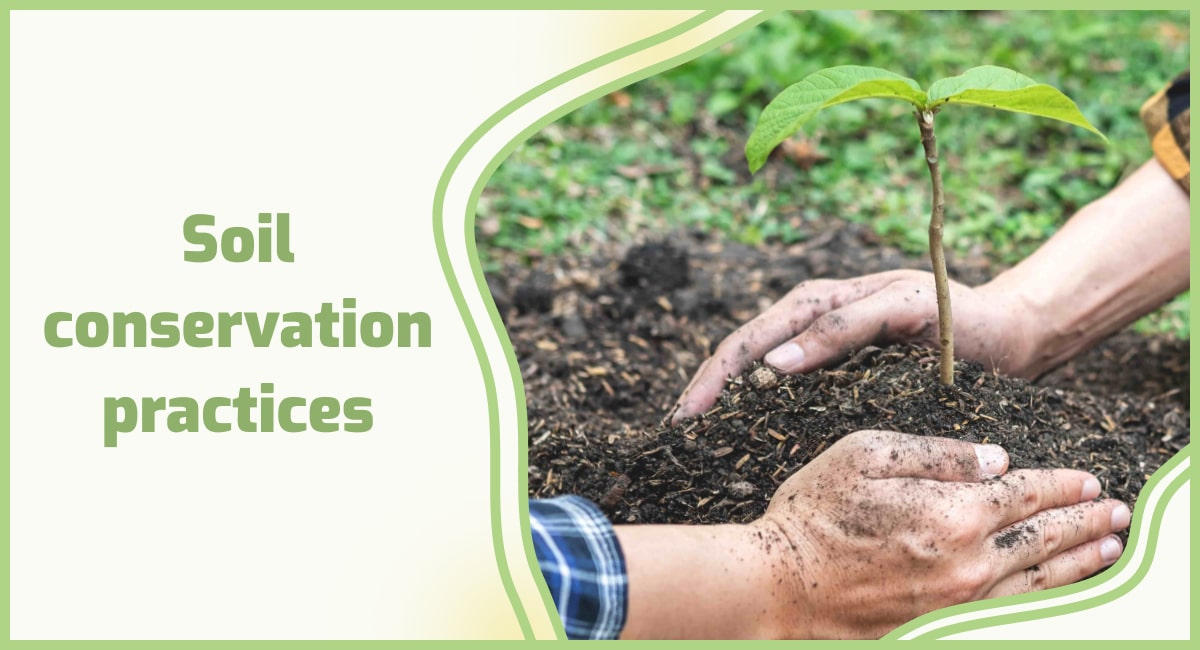 Soil Conservation