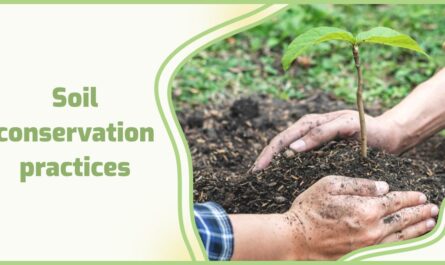 Soil Conservation