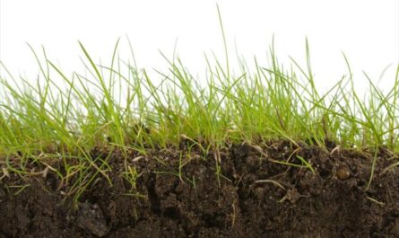 Soil Decomposition
