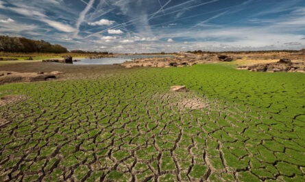 Soil Degradation