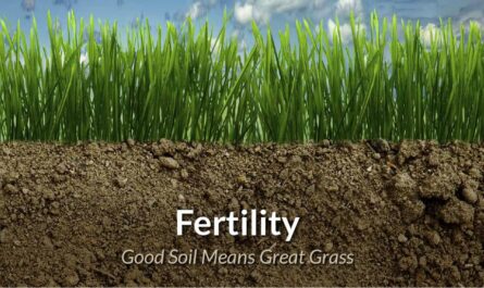 Plant Breeding