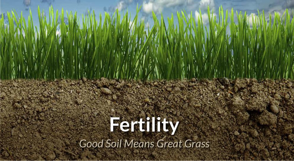 Soil Fertility