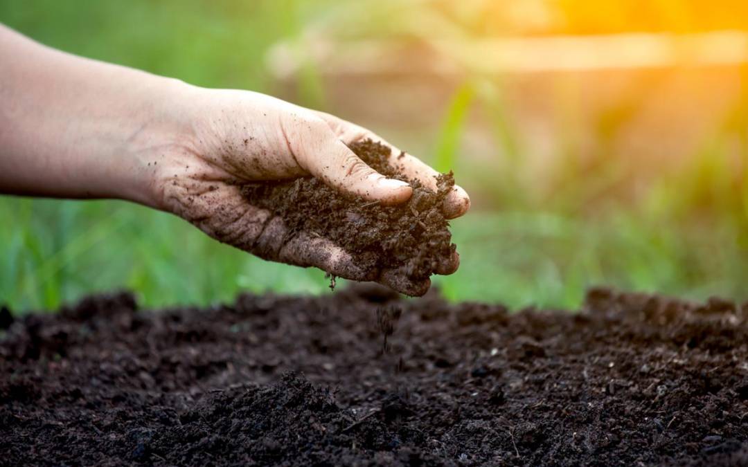 Organic Farming