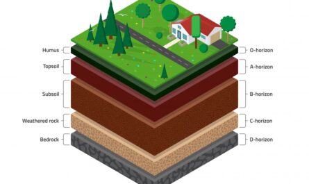 Soil Horizons