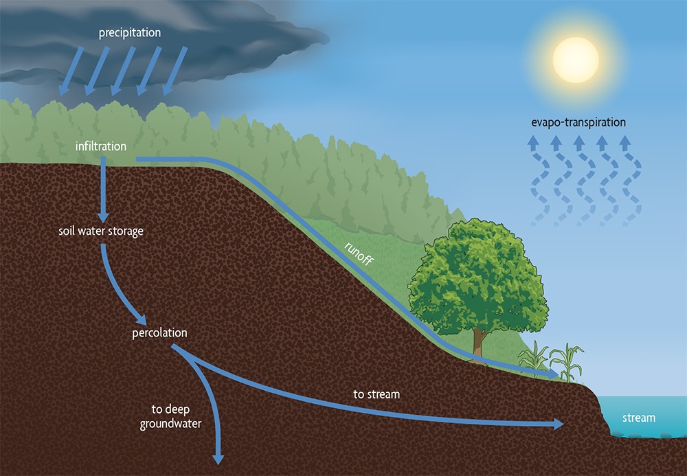 Soil Infiltration