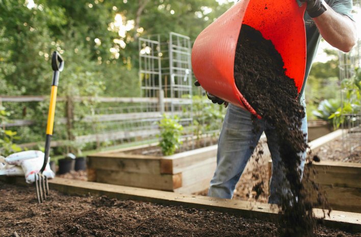 Soil Mineralization