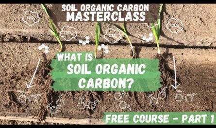 Soil Organic Carbon