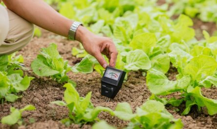 Soil pH
