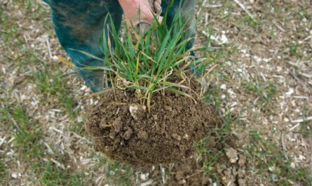 Soil Porosity