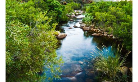 Soil Runoff