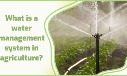 Water Management